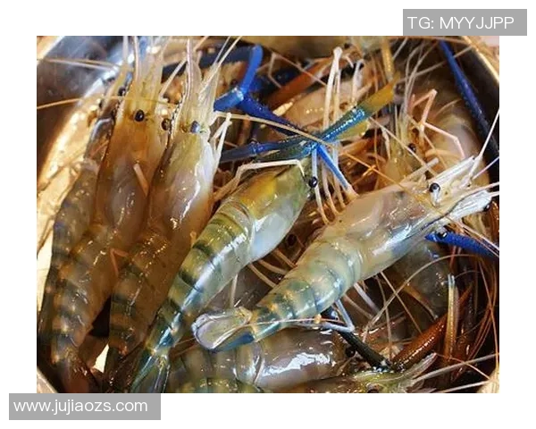 pg电子麻将胡了2怎样才能赢-掌握策略,实现胜利—PG电子麻将胡了2实战攻略-pg电子麻将胡了2怎样才能赢